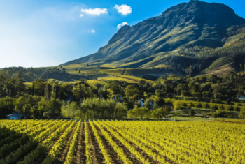 CasaCalme Villa - Accommodation - Blouberg Strand - Cape Town - Vacation Home Rental - Vacation - Stellenbosch